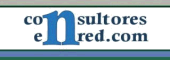 consultores en internet